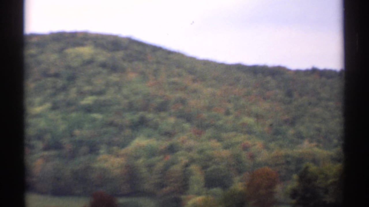 Soft 8mm view of a wooded hillside under a pale sky.