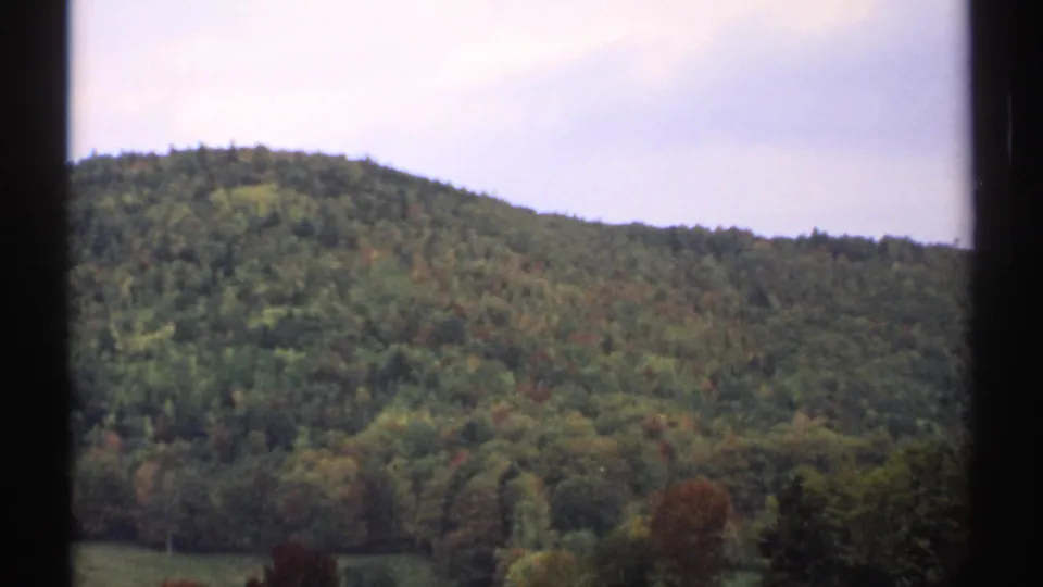 1971 8mm frame of a New Hampshire wooded hill with dense green trees and hints of early autumn color.