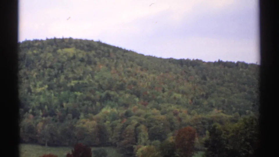 1971 New Hampshire home-movie view of rolling forest with mixed green foliage and scattered autumn color.