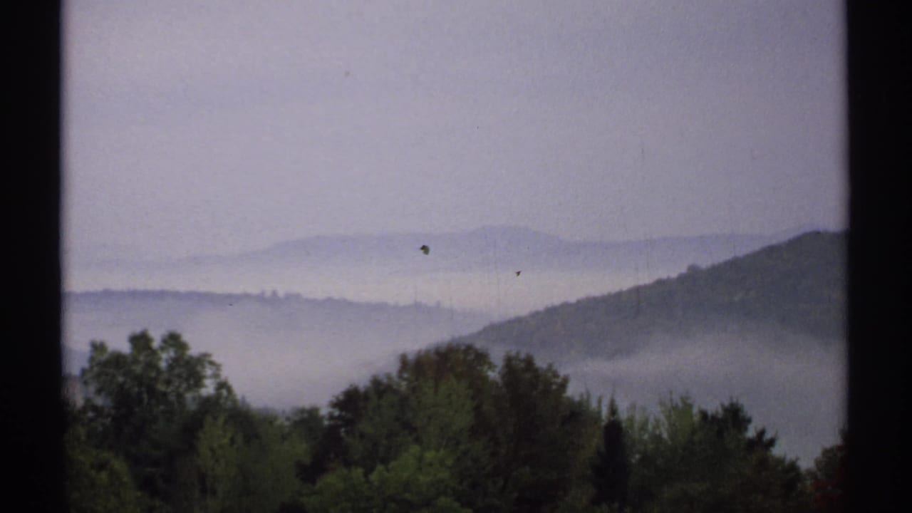Misty hills and treetops appear beneath a pale sky, with film specks visible.