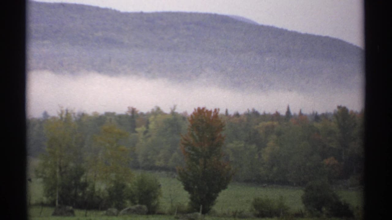 Fog band below a mountain ridge with forest, field, and autumn-colored tree visible through window framing.