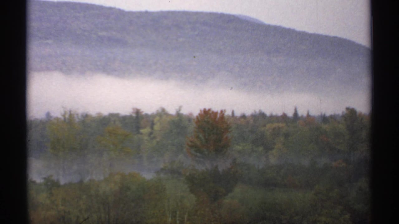 Misty forest and distant hills under a cloudy sky, with autumn color in the trees.