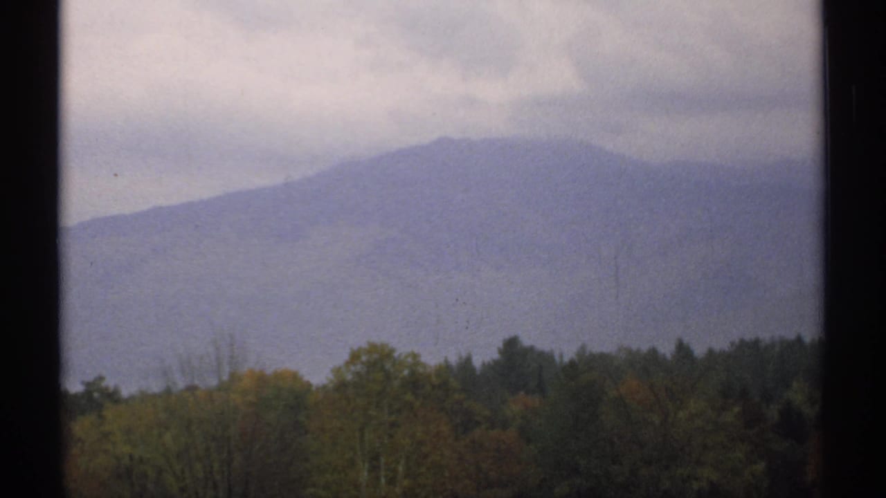 Misty mountain silhouette under cloudy sky above a forested foreground.