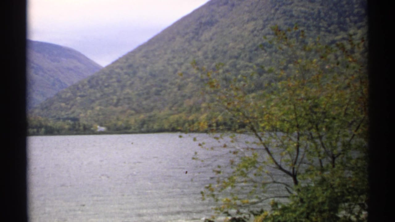 Mountain lake view with shoreline trees and a dark vertical frame edge.