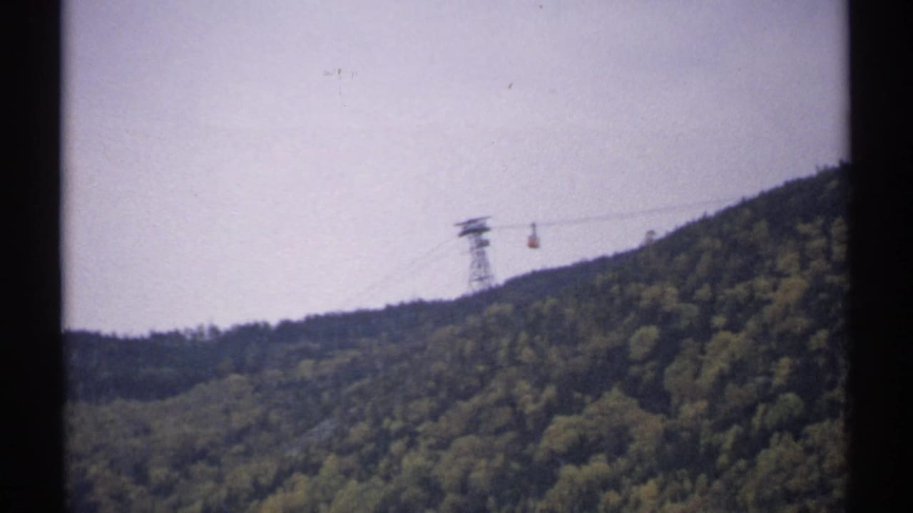 Aerial tramway tower and small cable car above a forested mountain slope.