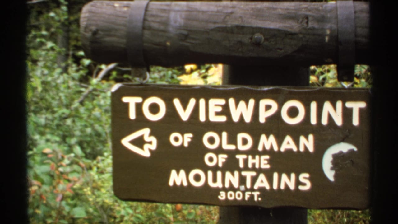 Close view of the same wooden viewpoint sign with forest vegetation behind it.