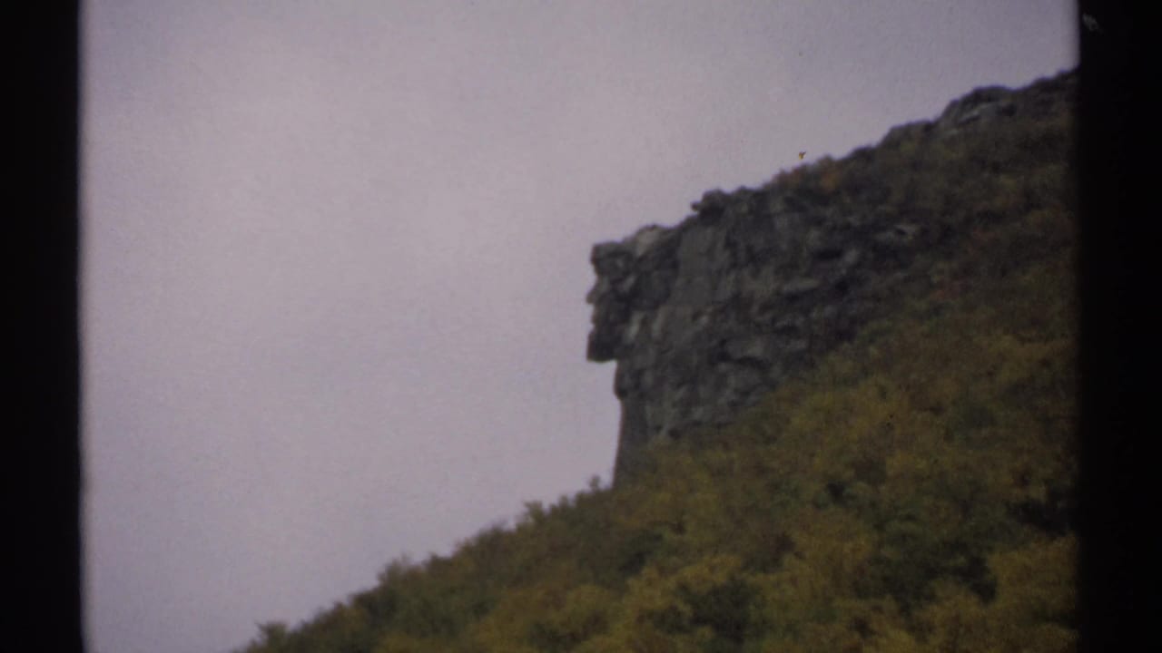 Forested hillside with a dark rock formation under soft light.