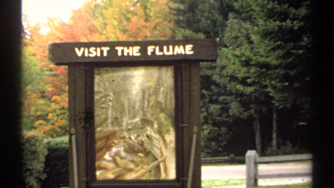 Wooden sign reading VISIT THE FLUME beside trees and a roadside barrier.