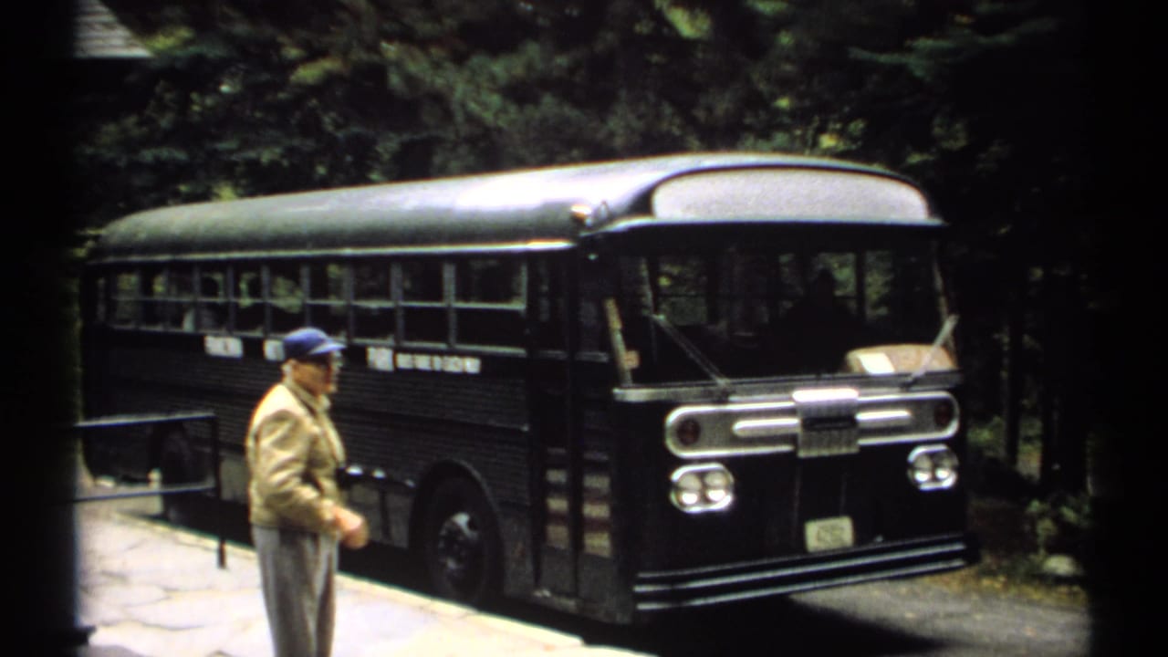 Older man in blue cap standing near a dark tour bus in a wooded roadside area.