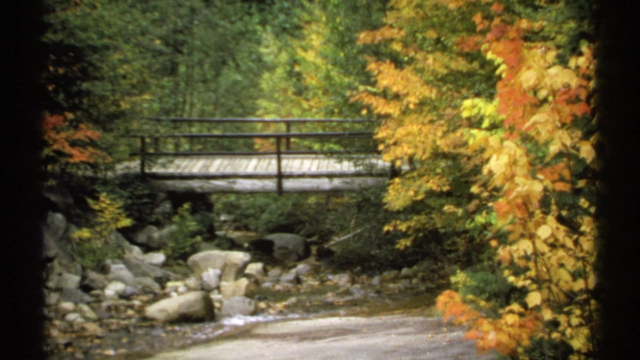 Wooden footbridge over a rocky stream surrounded by autumn forest.