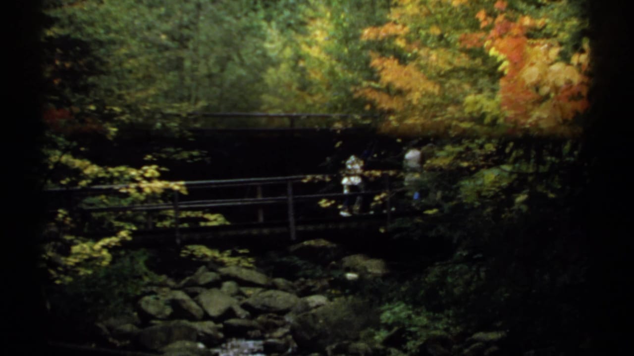 Person in a white shirt walking on a shadowed wooden footbridge.
