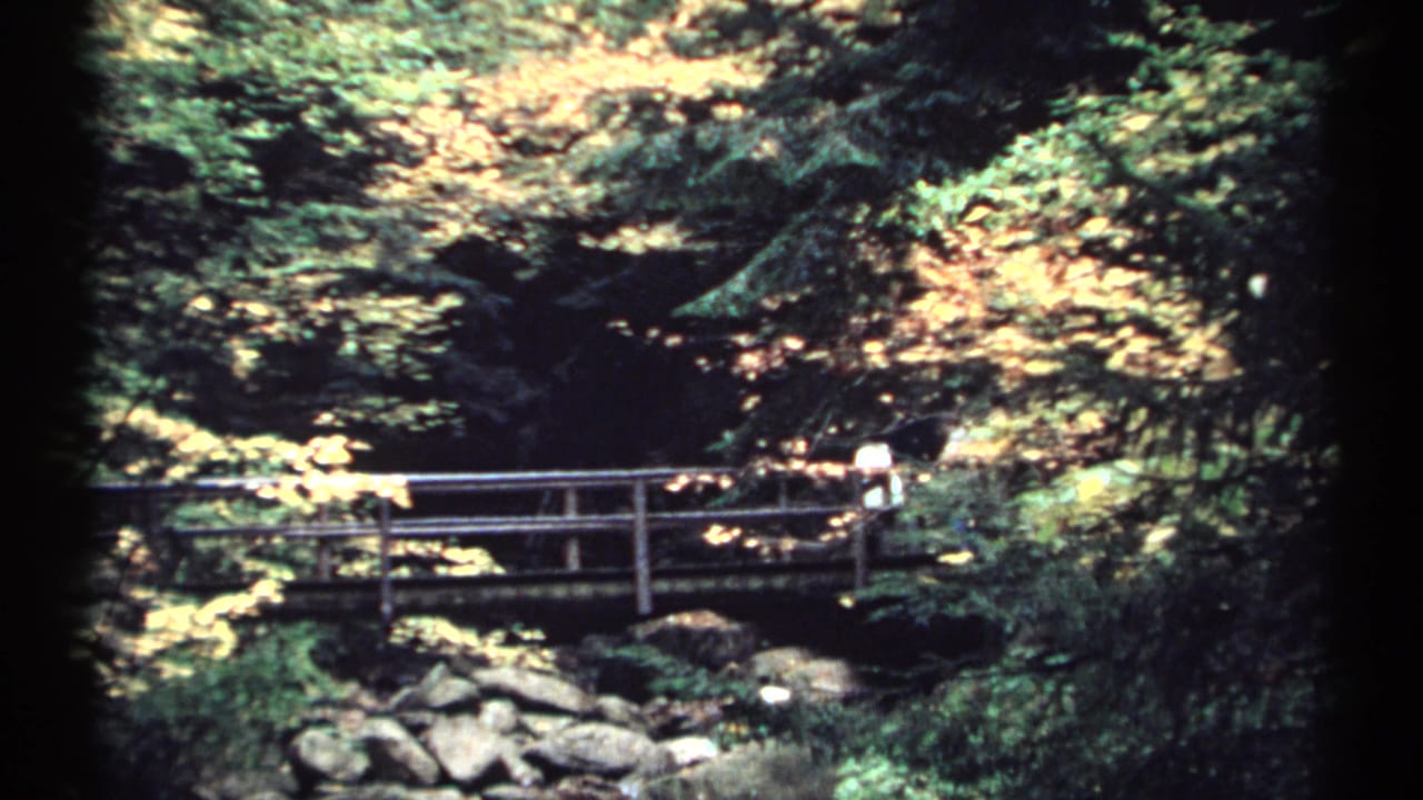 Wooden footbridge crossing a rocky stream in a wooded area.