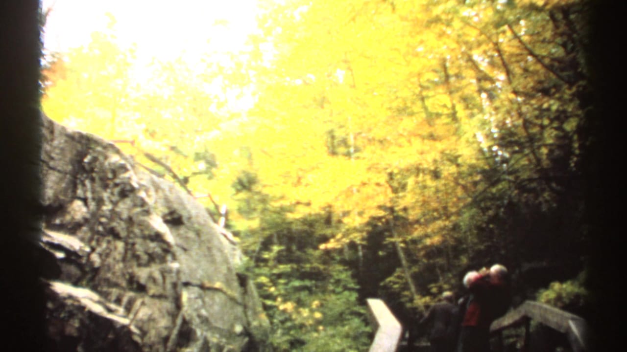 Autumn forest and rock ledge with visitors near a wooden boardwalk railing.