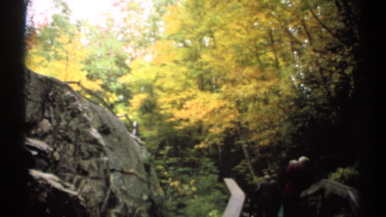 Autumn forest path and rocks near a small waterfall viewing area.