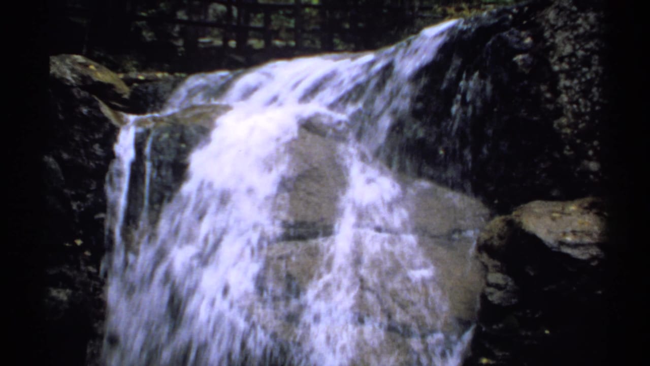 White water pours over dark rocks in a wooded waterfall scene.