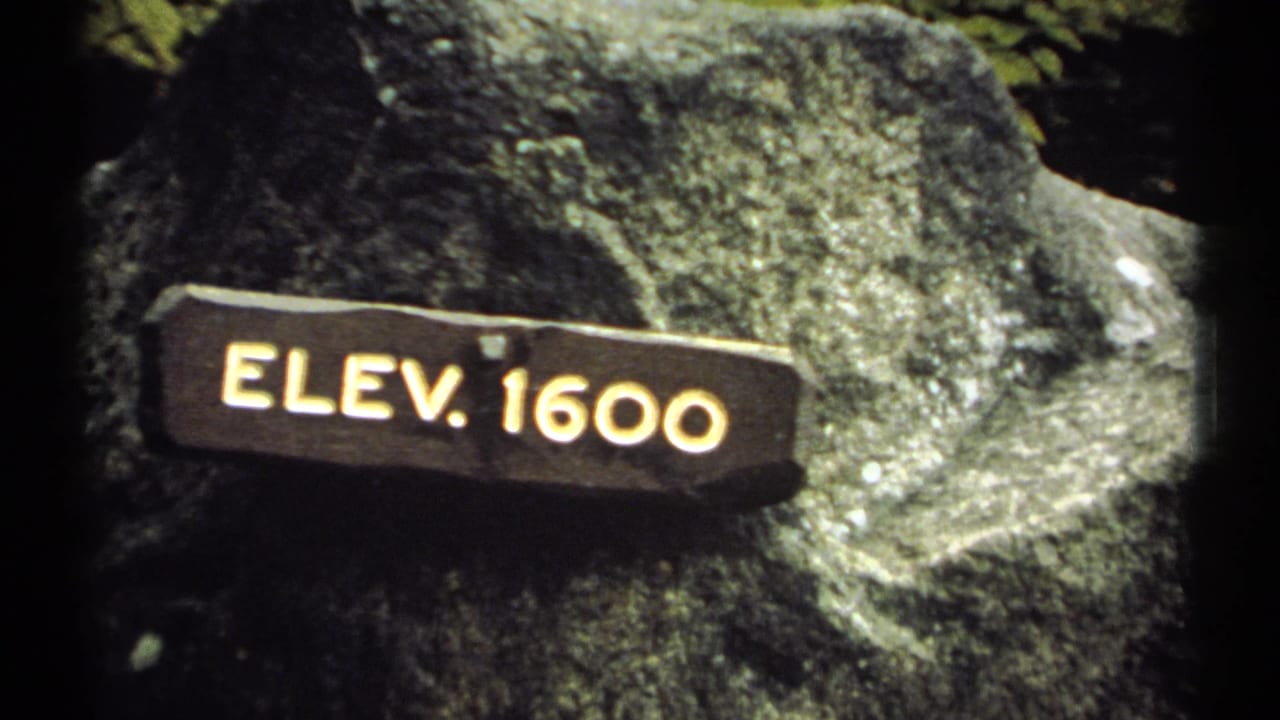 Wooden ELEV. 1600 marker mounted on a large rock.