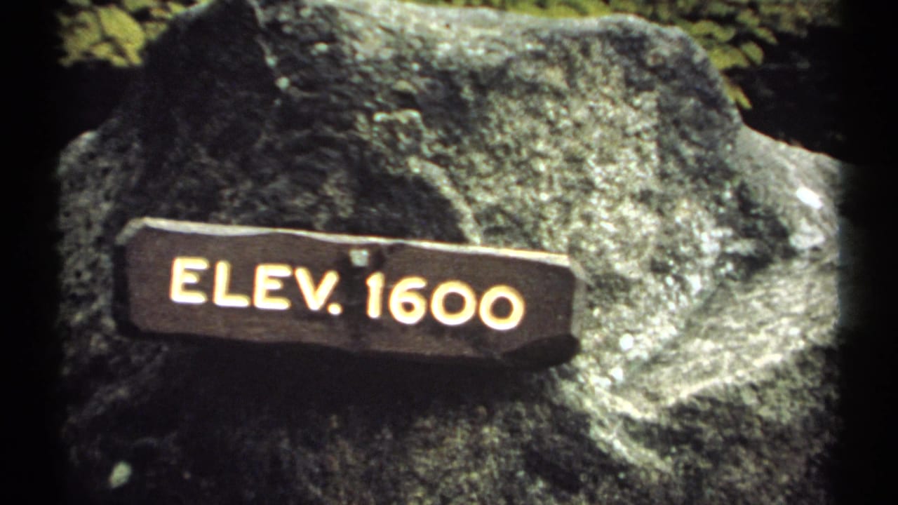 Second close view of the ELEV. 1600 marker on rock.