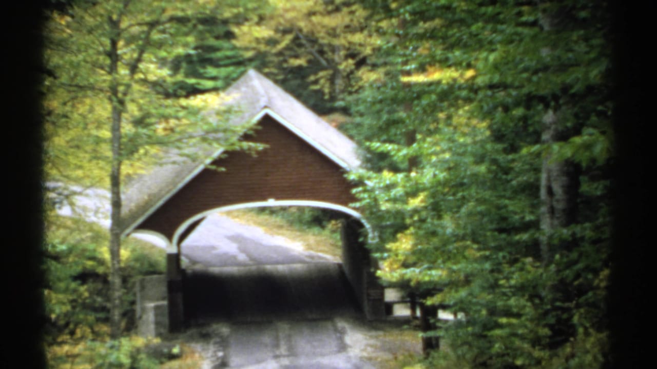 Covered bridge on a forest road surrounded by green trees.