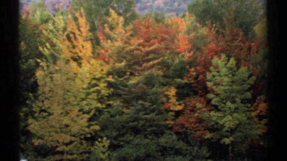 New Hampshire fall foliage fills the frame, with mixed yellow, red, and green trees in soft 8mm color.