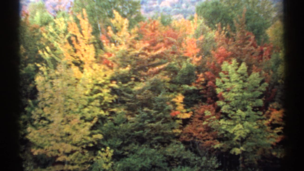 Autumn trees in green, yellow, and red with dark window-frame edges.