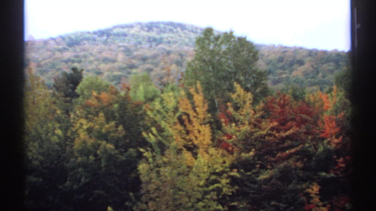 Wooded mountain beyond autumn trees under a pale sky.