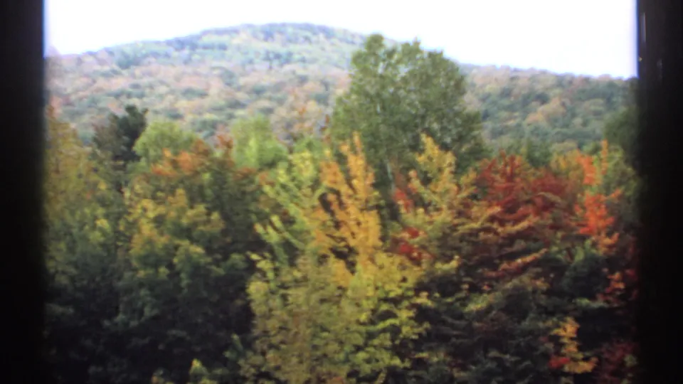 New Hampshire fall foliage in 1971, with red, yellow, and green trees in front of a softly focused mountain and pale sky.