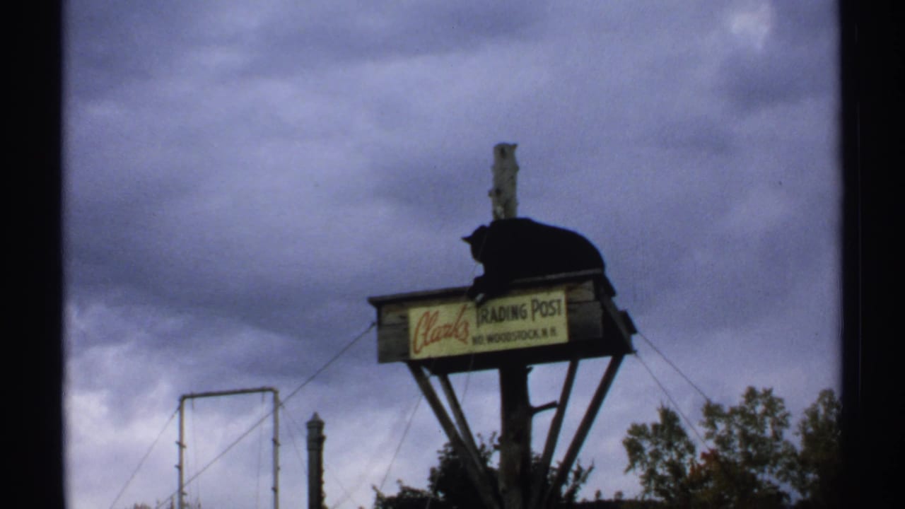 Black bear lying on a high wooden platform above a Clark's Trading Post sign under a cloudy sky.