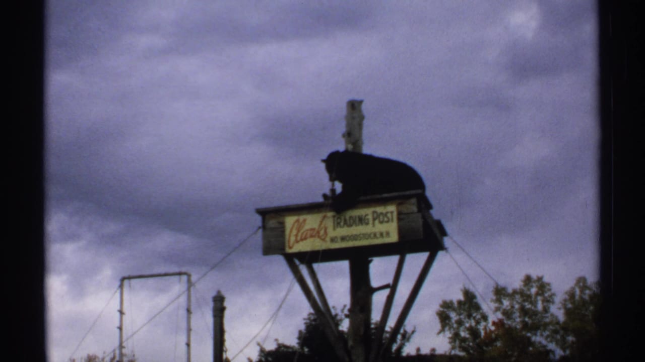 Black bear resting on the elevated sign platform with Clark's Trading Post lettering visible.