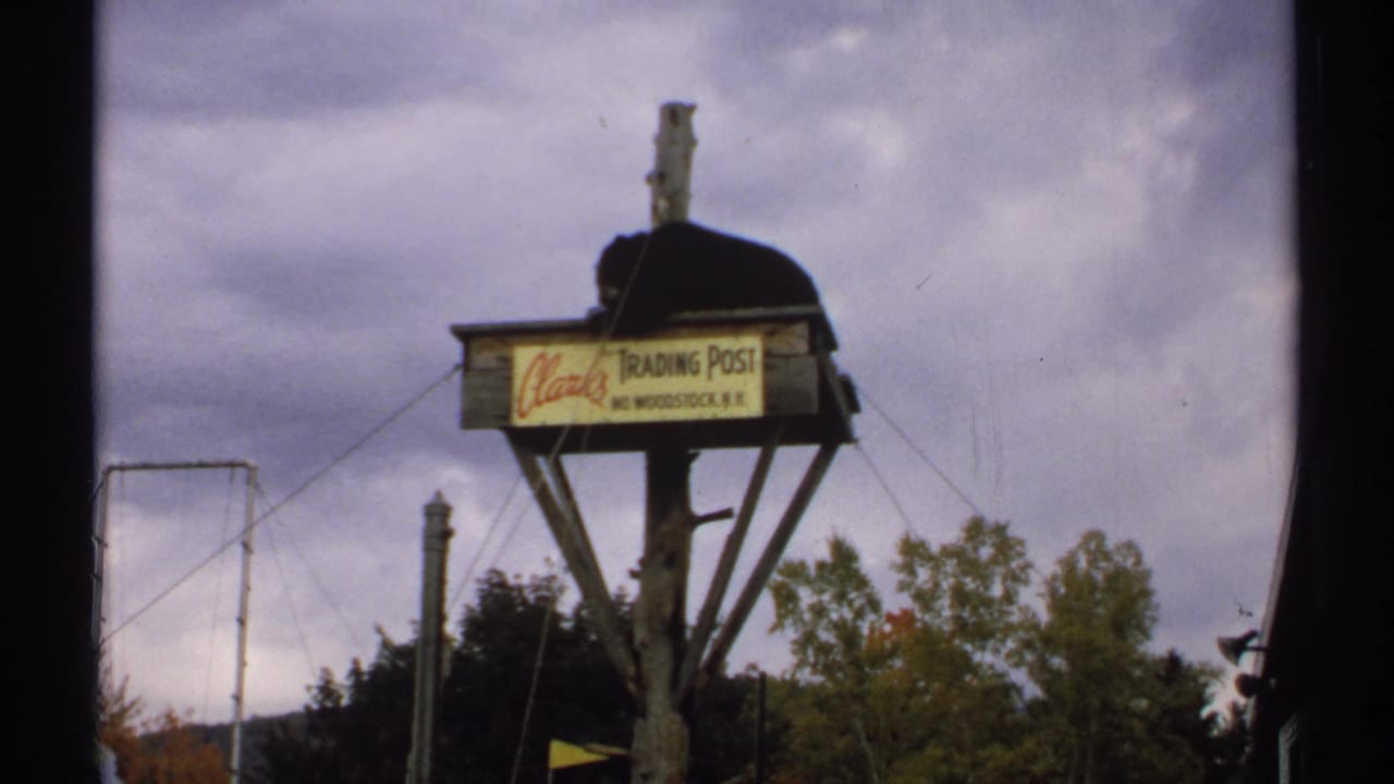 Bear perched on an elevated trading post sign against a cloudy sky.