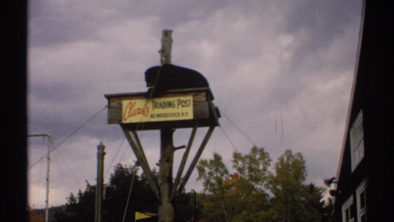 Bear on top of a raised platform with trading post sign, trees, wires, and building edge visible.