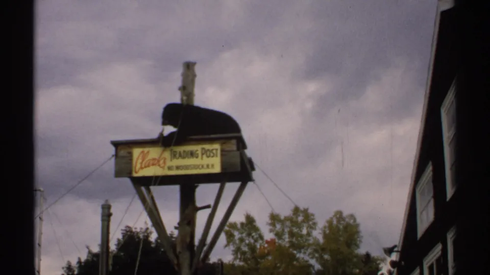 Final frame shows the bear still lying on the raised Clark's Trading Post platform, with trees, wires, and overcast sky in view.