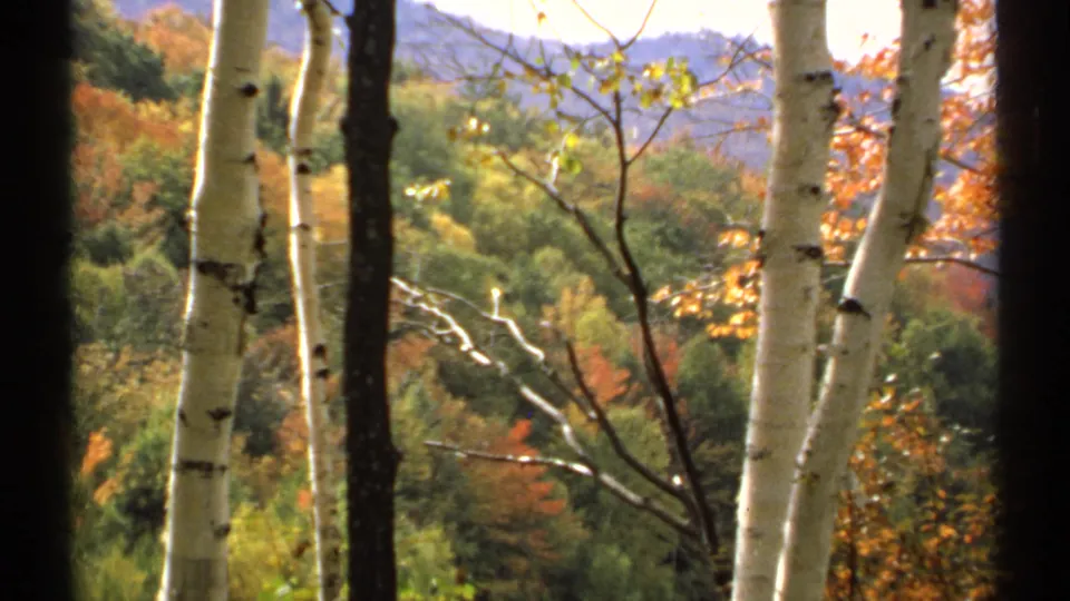 1971 New Hampshire 8mm frame with birch trees foregrounding red, orange, green foliage and hazy mountain ridges.