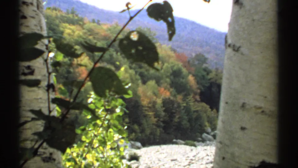1971 New Hampshire home-movie view through birch trees toward autumn woods, mountains, and a pale rocky area below.