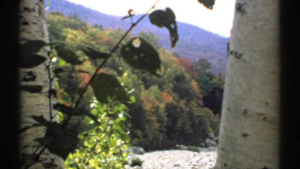 Soft 8mm New Hampshire autumn landscape framed by birch trunks, dark branches, foliage, and distant mountains.