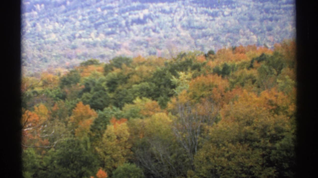 Autumn forest canopy and distant wooded hills seen through dark window dividers.