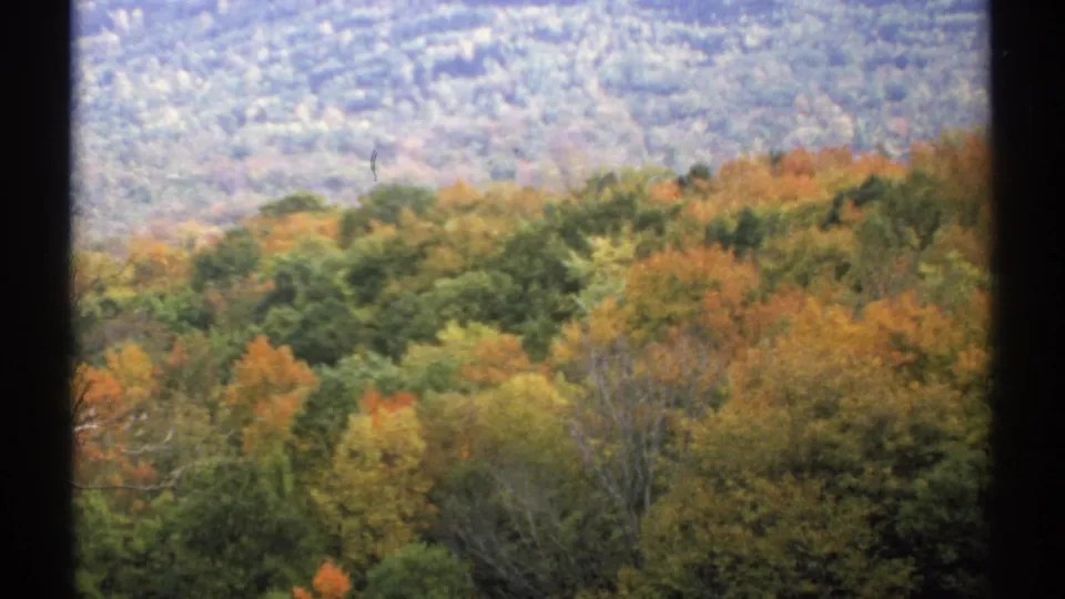 New Hampshire autumn forest vista on 8mm film, with orange and green canopy beneath a hazy wooded hill.