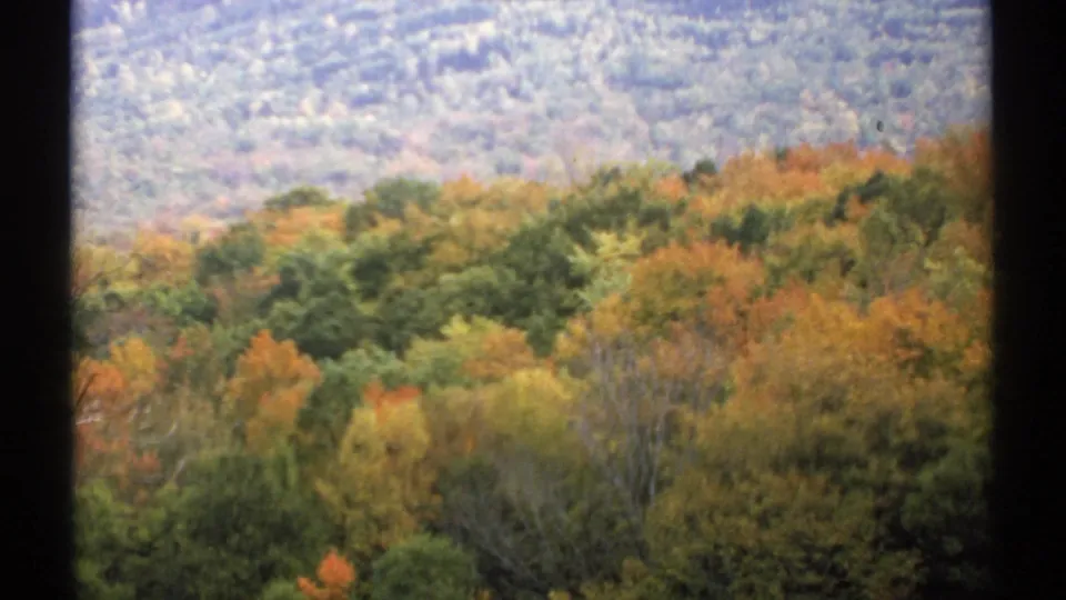 1971 New Hampshire home-movie frame showing fall foliage and a wooded hillside through dark window framing.