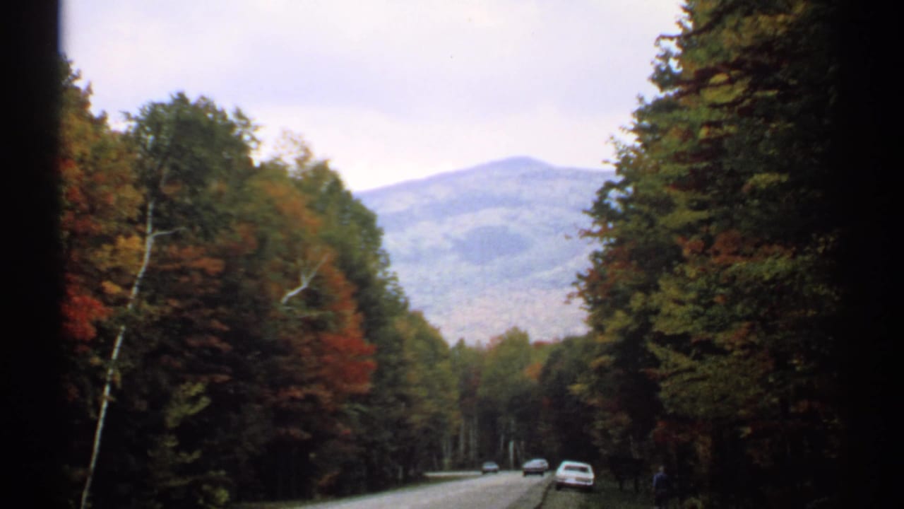 Autumn trees line a road leading toward distant mountains under an overcast sky.