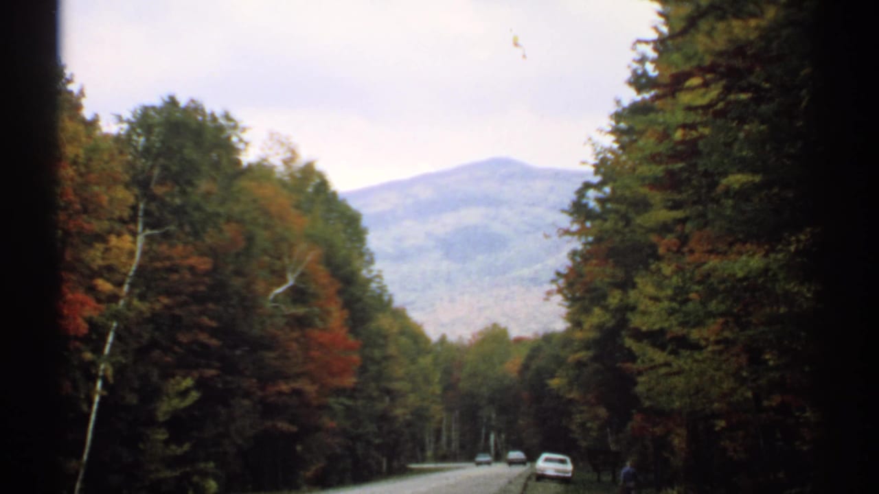 Roadside forest and parked or moving cars appear below a hazy mountain view.