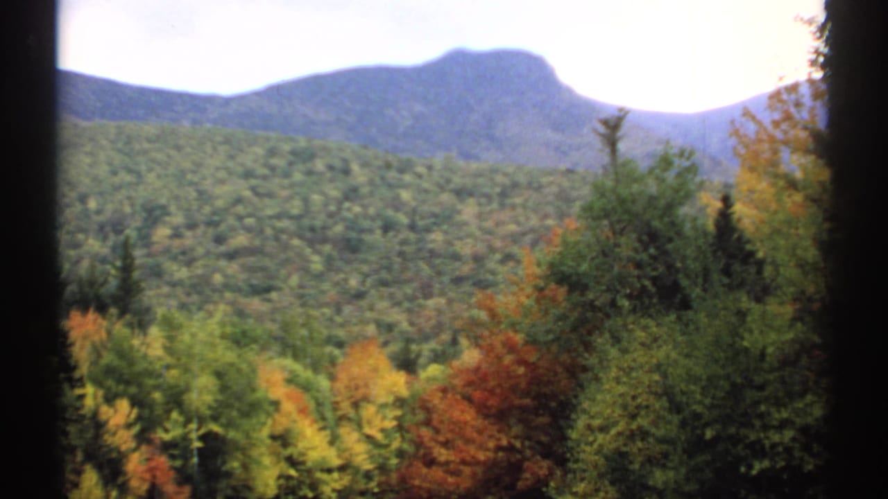 Forested autumn hills with a distant mountain and dark frame edges.