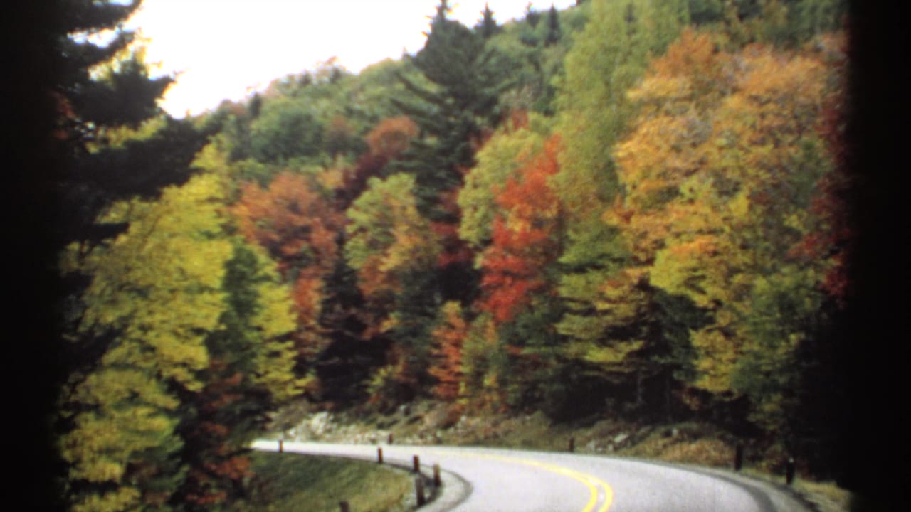 Curving two-lane road bordered by colorful autumn trees.