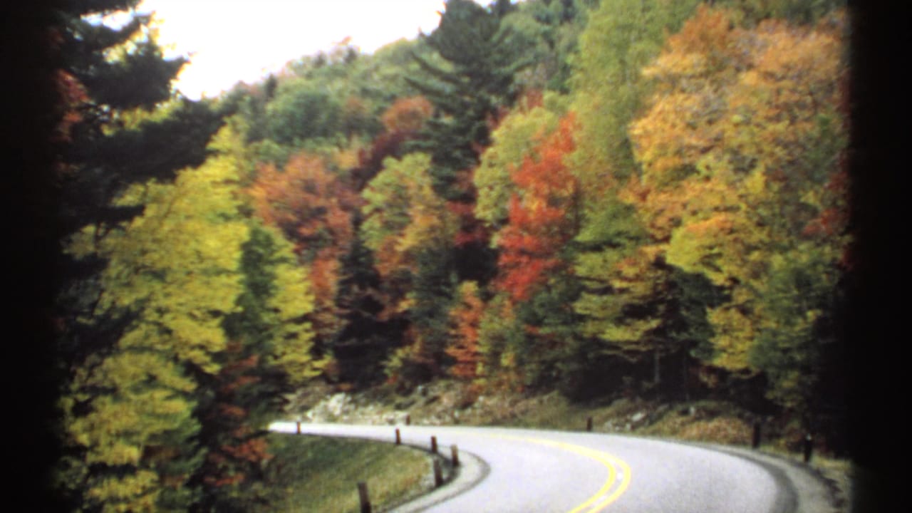Winding road with fall trees and roadside posts.