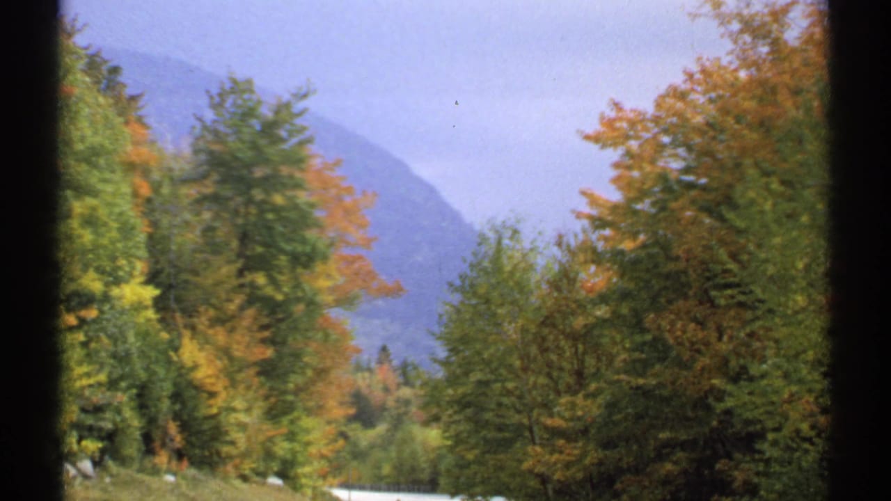 Dense autumn foliage with distant mountains behind a dark vertical divider.