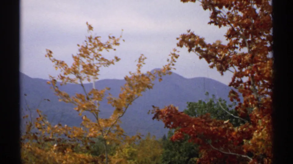 1971 New Hampshire autumn view with orange foreground branches, darker trees, and a blue-gray mountain ridge under an overcast sky.