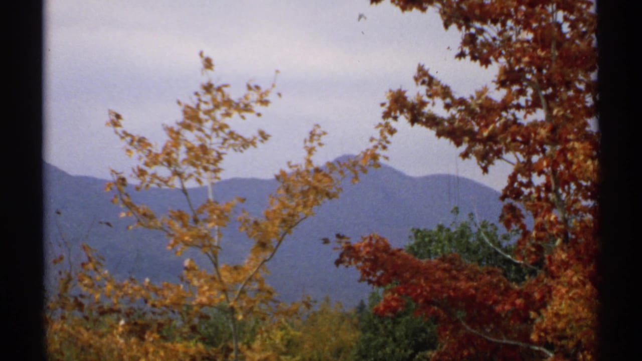 Autumn branches with yellow and red leaves frame distant blue-gray mountains under an overcast sky.