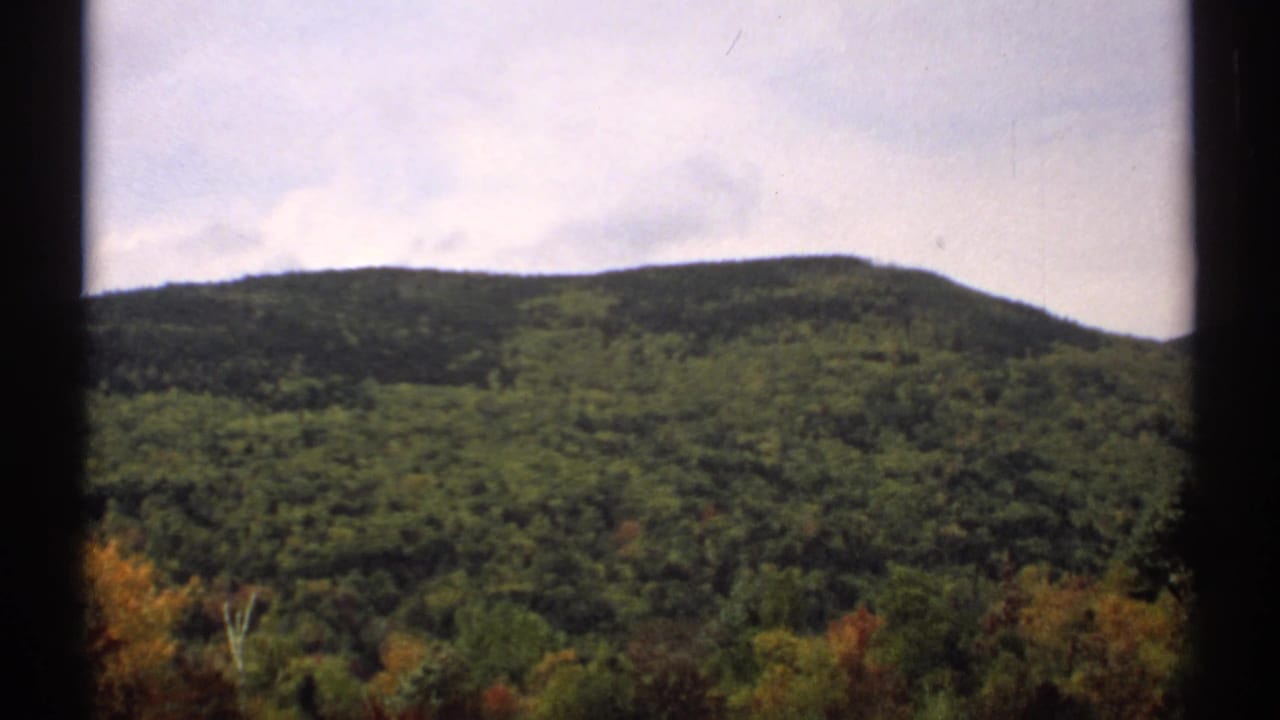 Forested mountain slope under a pale sky with dark 8mm frame borders.