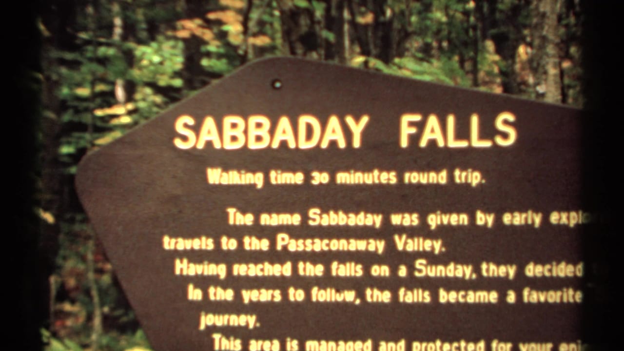 Wooden Sabbaday Falls sign in a forest, partially obscured by a dark film edge.