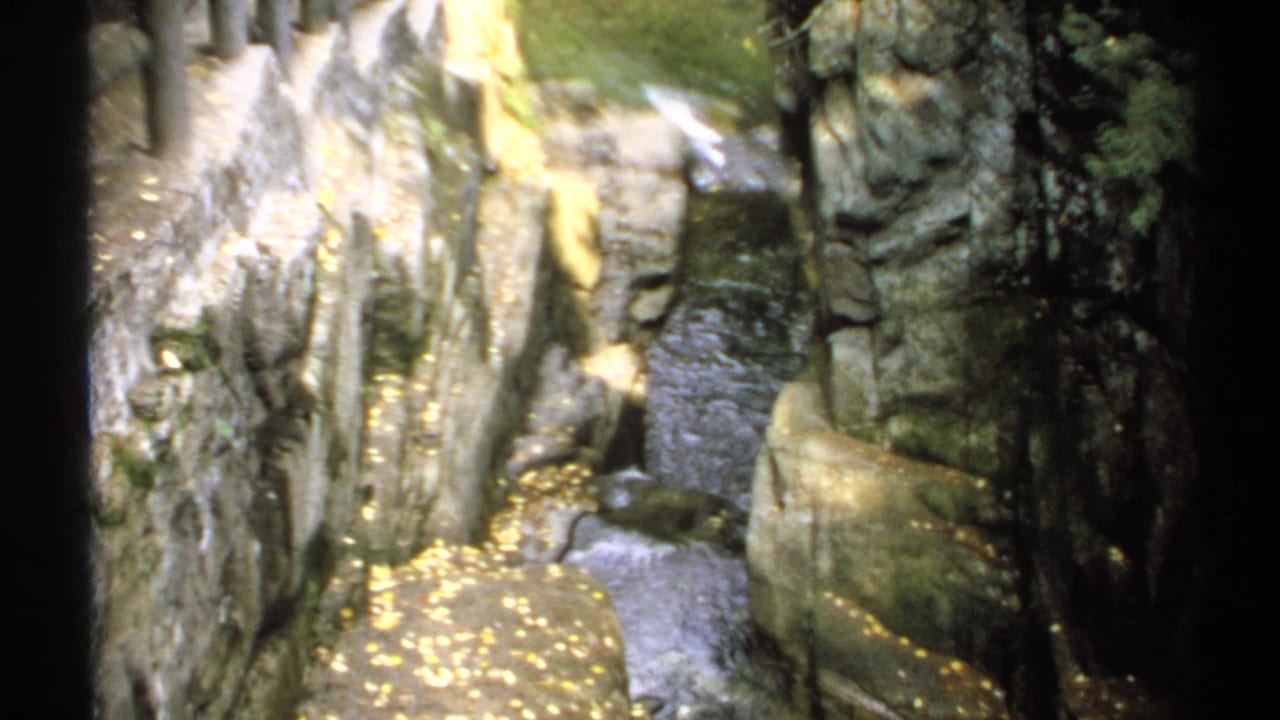 Rocky gorge with shallow stream water and scattered yellow leaves.