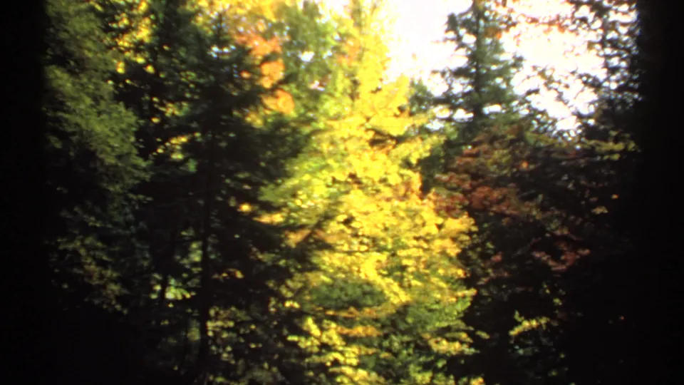 A 1971 8mm frame shows bright yellow autumn leaves and green trees framed by darker trunks and evergreens in New Hampshire woodland.