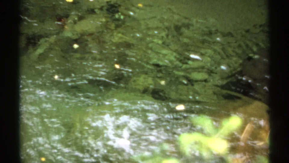 1971 New Hampshire 8mm frame showing shallow clear water moving over rocks and reflected foliage.